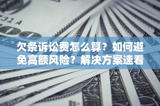 武汉欠条诉讼费怎么算？如何避免高额风险？解决方案速看！